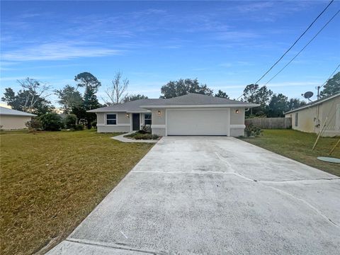 Photo of 41 Bud Field Drive, Palm Coast, FL 32137 (MLS # O6272838)