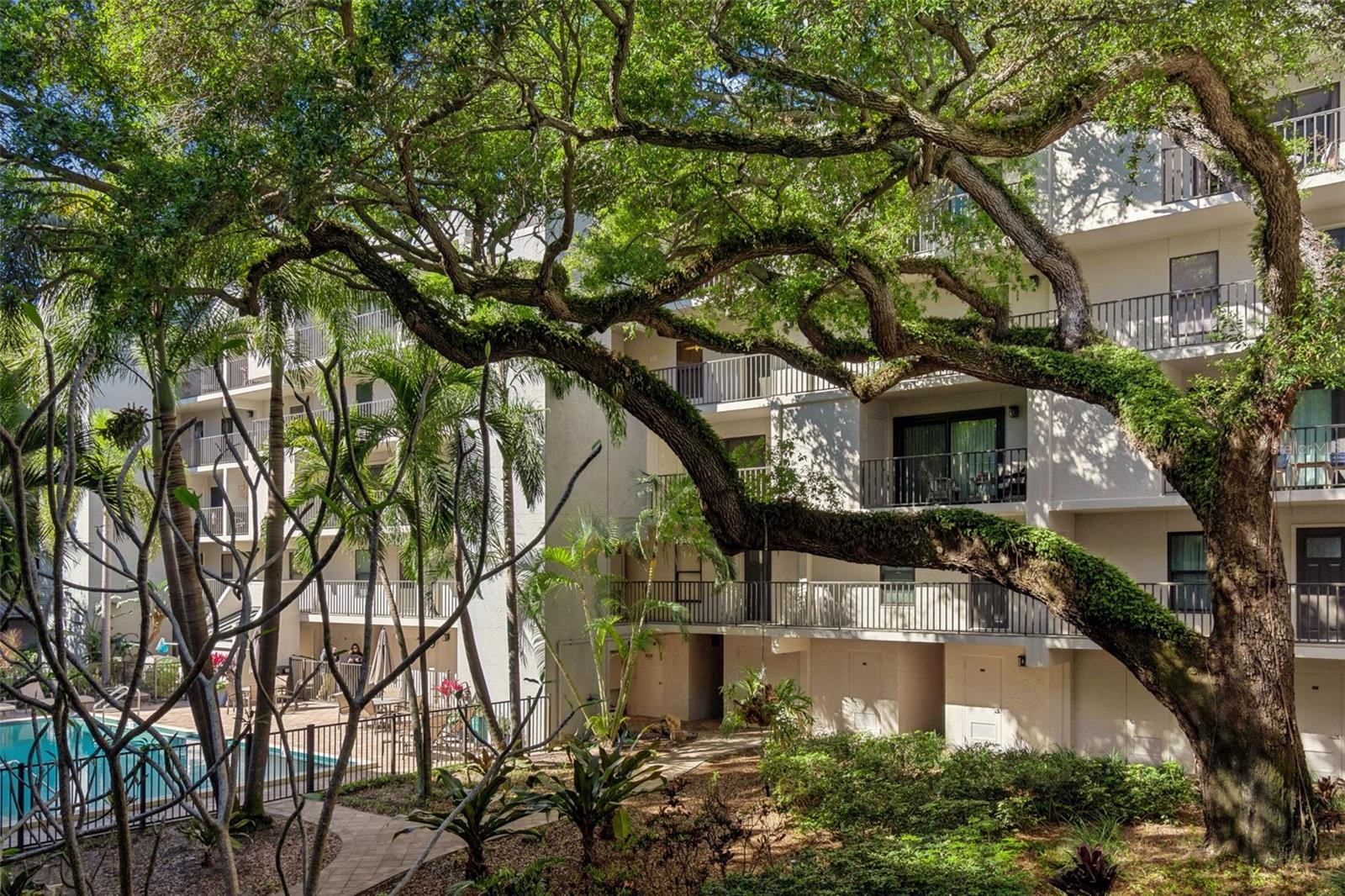 TOWNVIEW CONDO - Residential