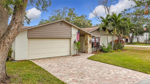 A home in PALM HARBOR