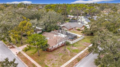 A home in PALM HARBOR