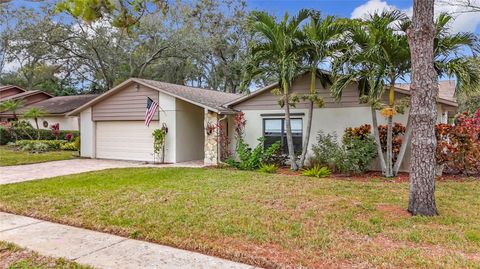 A home in PALM HARBOR