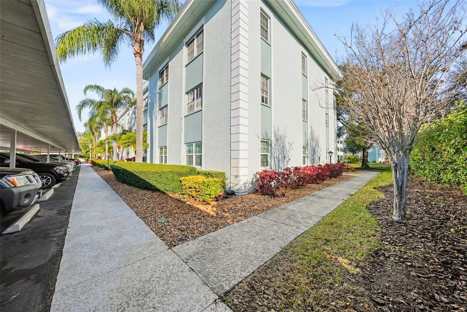 BELLEAIR FOREST - Residential