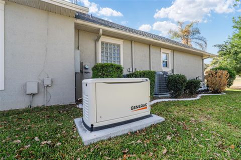 Tiny photo for 8645 SE 177th Grassmere Street, The Villages, FL 32162 (MLS # G5108514)