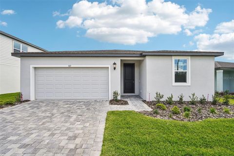Photo of 811 Sunshower Drive, Lady Lake, FL 32159 (MLS # TB8477107)