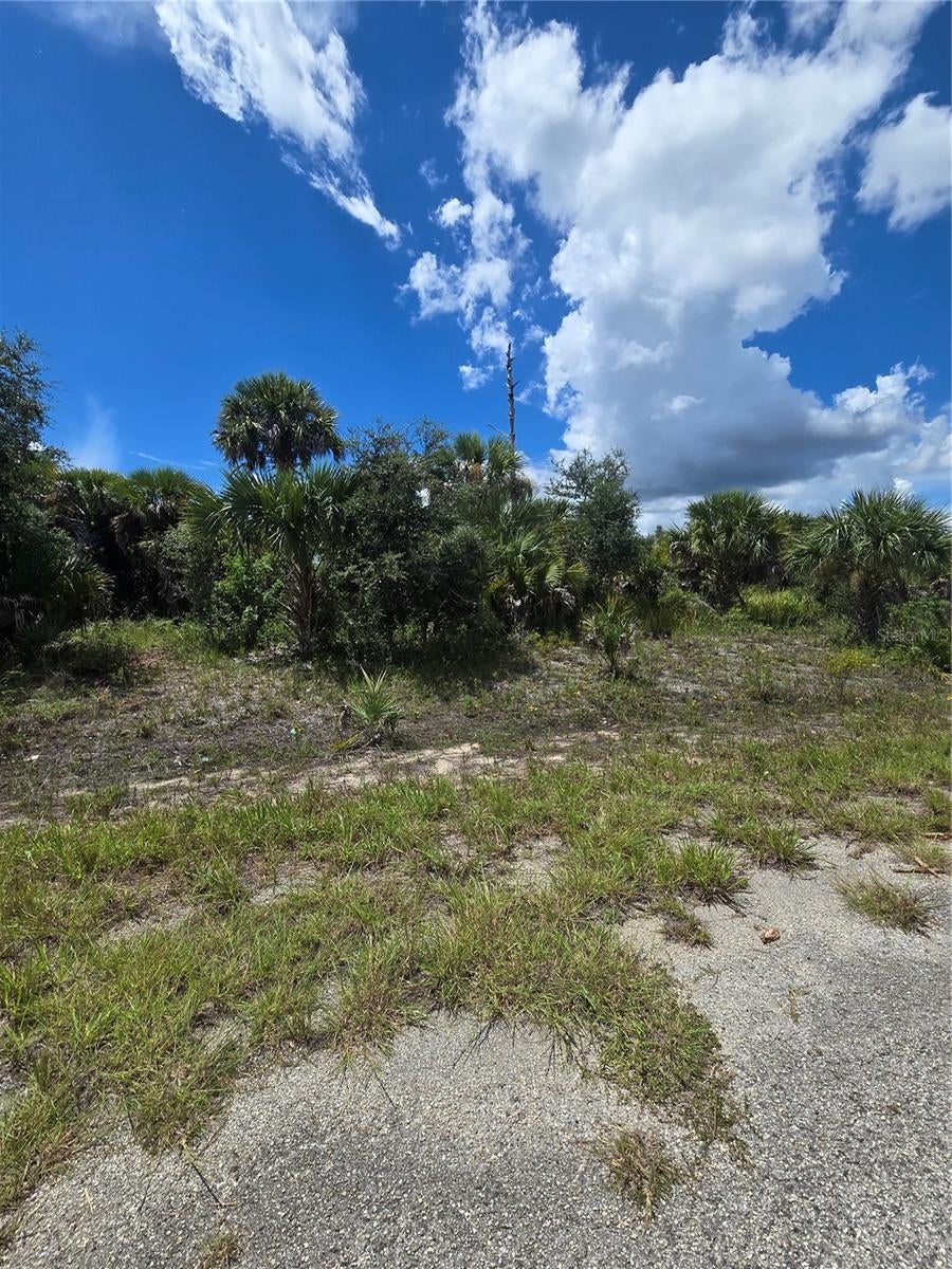 PLUMLEAF TERRACE, NORTH PORT, FL, 34288 1 PLUMLEAF TERRACE