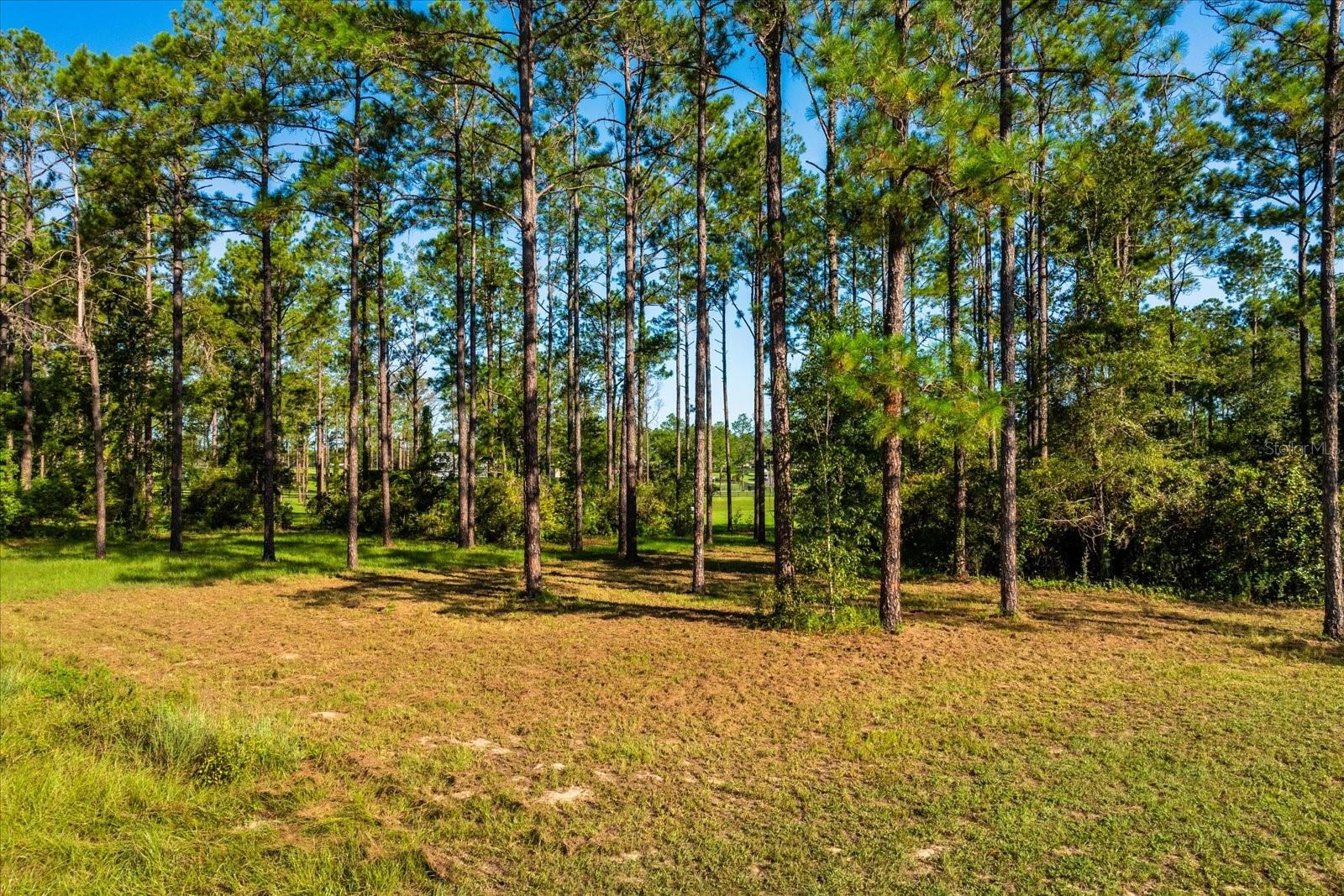 LAKEWOOD RANCHES SUB - Land