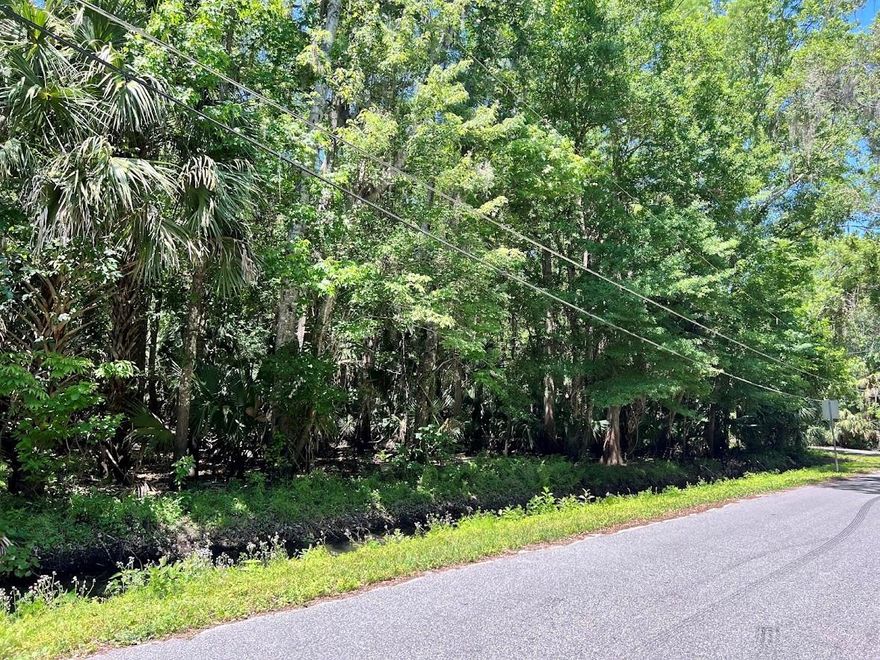 Build your dream estate in one of East Seminole County’s most desirable rural communities! This expansive 6.7614-acre homesite offers the perfect blend of privacy, space, and upscale surroundings — ideal for buyers seeking peaceful country living without sacrificing neighborhood quality.

Surrounded by custom and waterfront homes, the area reflects pride of ownership and long-term value. Enjoy the outdoor lifestyle with a community boat ramp just around the corner, giving you quick access to the St. Johns River system for boating, fishing, and weekend adventures.

The owner originally planned to install a raised-platform manufactured home from Palm Harbor Homes, and the property layout supports a similar elevated home design, making it well-suited for a modern country retreat, barndominium, or custom build.

Property Highlights

6.7614 acres — high and dry homesite potential

Located in Geneva, Florida

Upscale estate homes throughout the community

Waterfront homes nearby enhance long-term desirability

Boat ramp access just minutes away

Ideal for raised manufactured home or custom construction

Bring your boats, RVs, and toys — room for it all

If you’ve been searching for acreage where you can build freely while still enjoying a premium neighborhood feel, this property delivers a rare combination of space, recreation, and future value.

Country living with water access — without HOA restrictions.