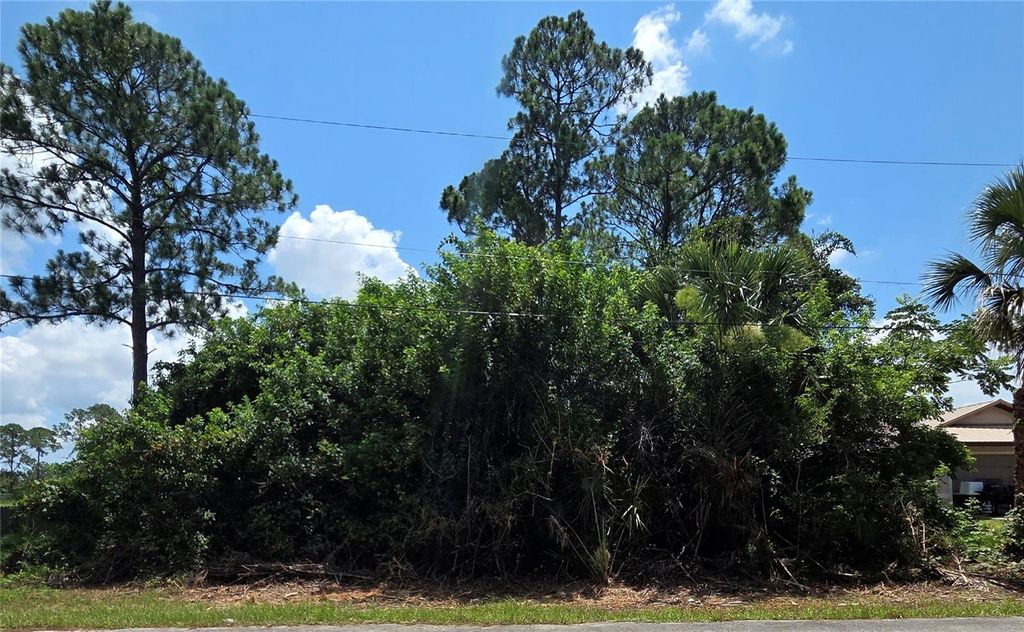 Photo of Tbd Tejon Avenue, Palm Bay, FL 32908 (MLS # P4936183)