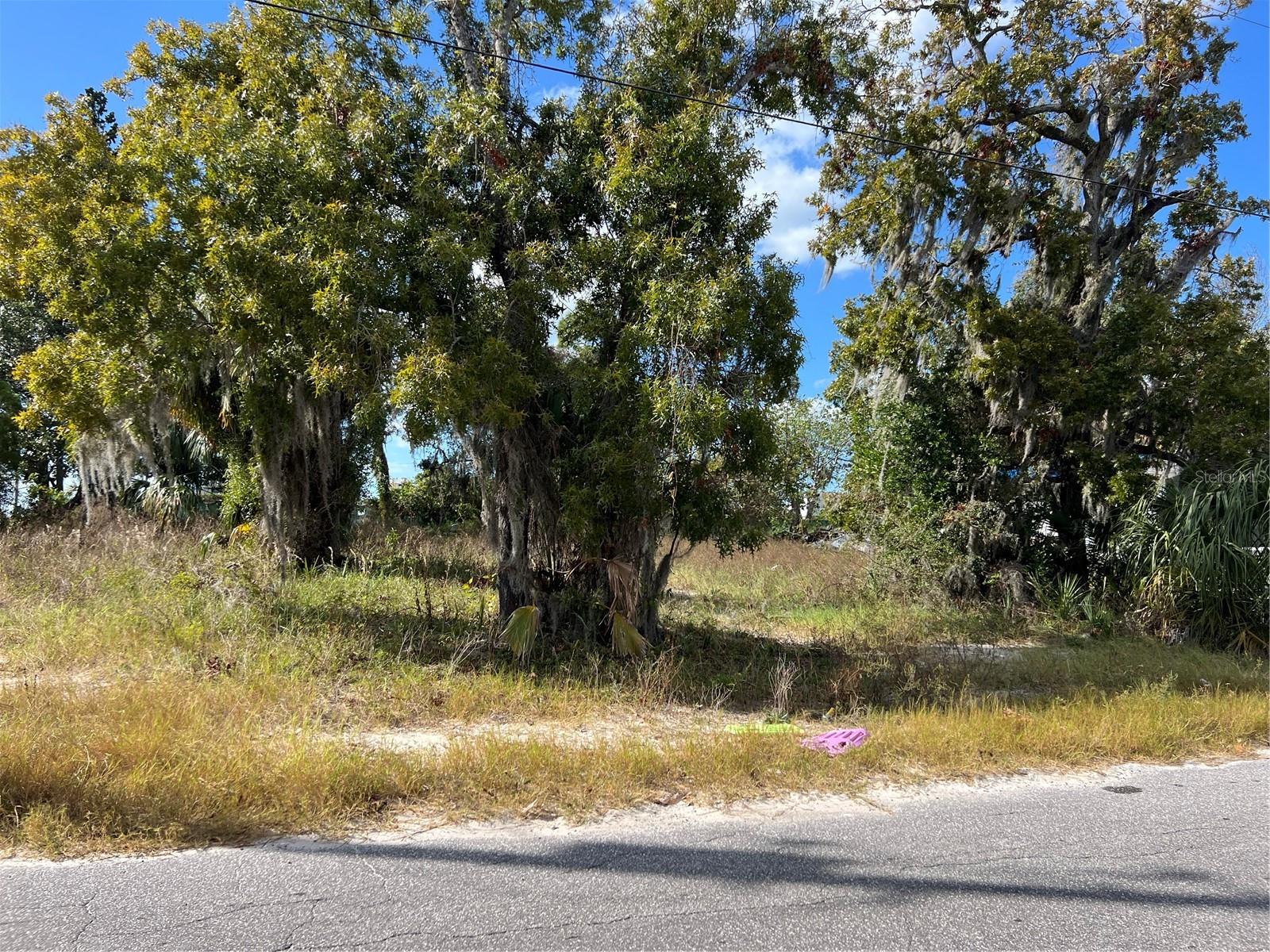 HUDSON TERRACE 1ST ADD - Land