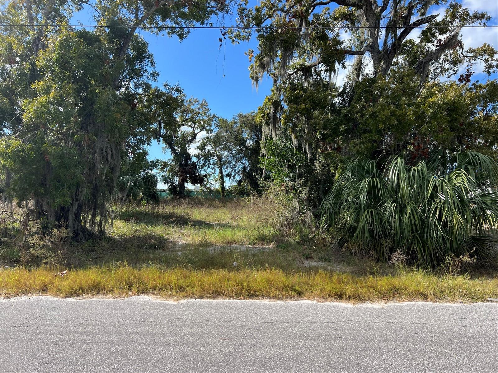 HUDSON TERRACE 1ST ADD - Land