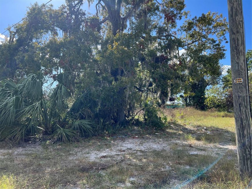 Nice lot partially cleared. Build your home and enjoy the Florida living. Paved road. Easy access to RT 19.