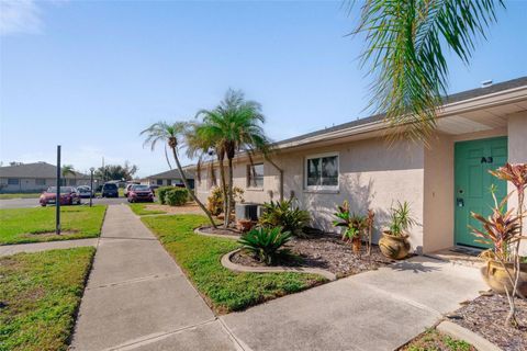 A home in PUNTA GORDA