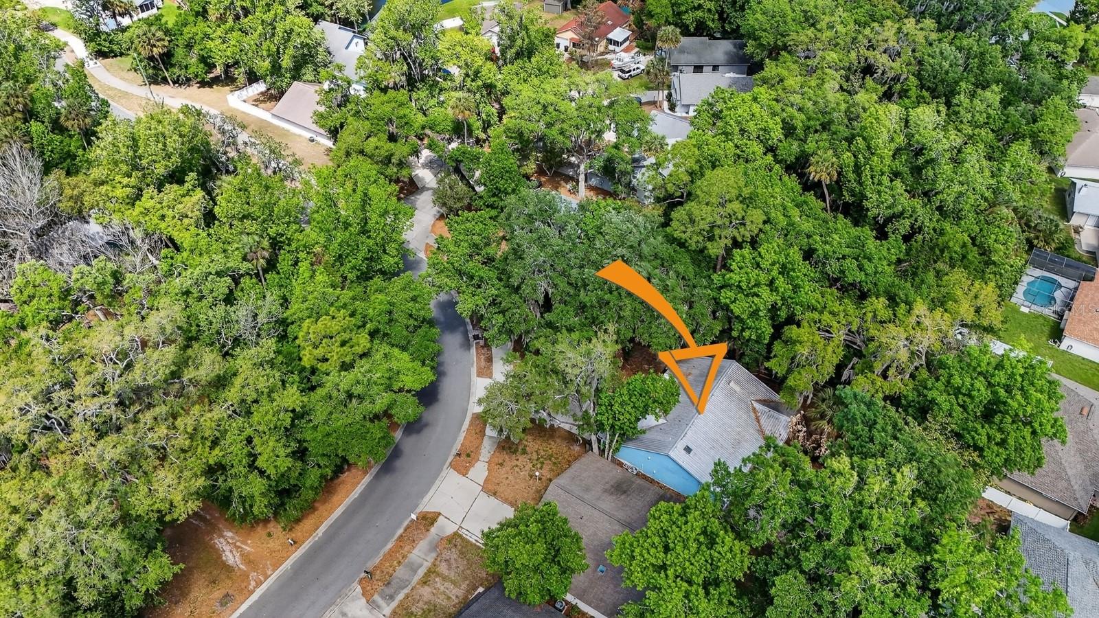 BENNETTS HAMMOCK REP TR 01 - Residential