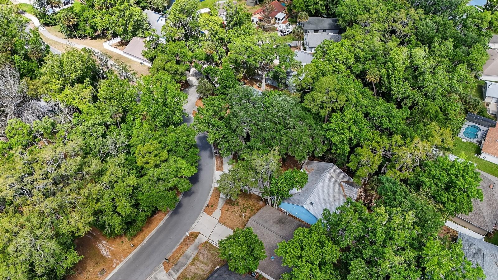 BENNETTS HAMMOCK REP TR 01 - Residential