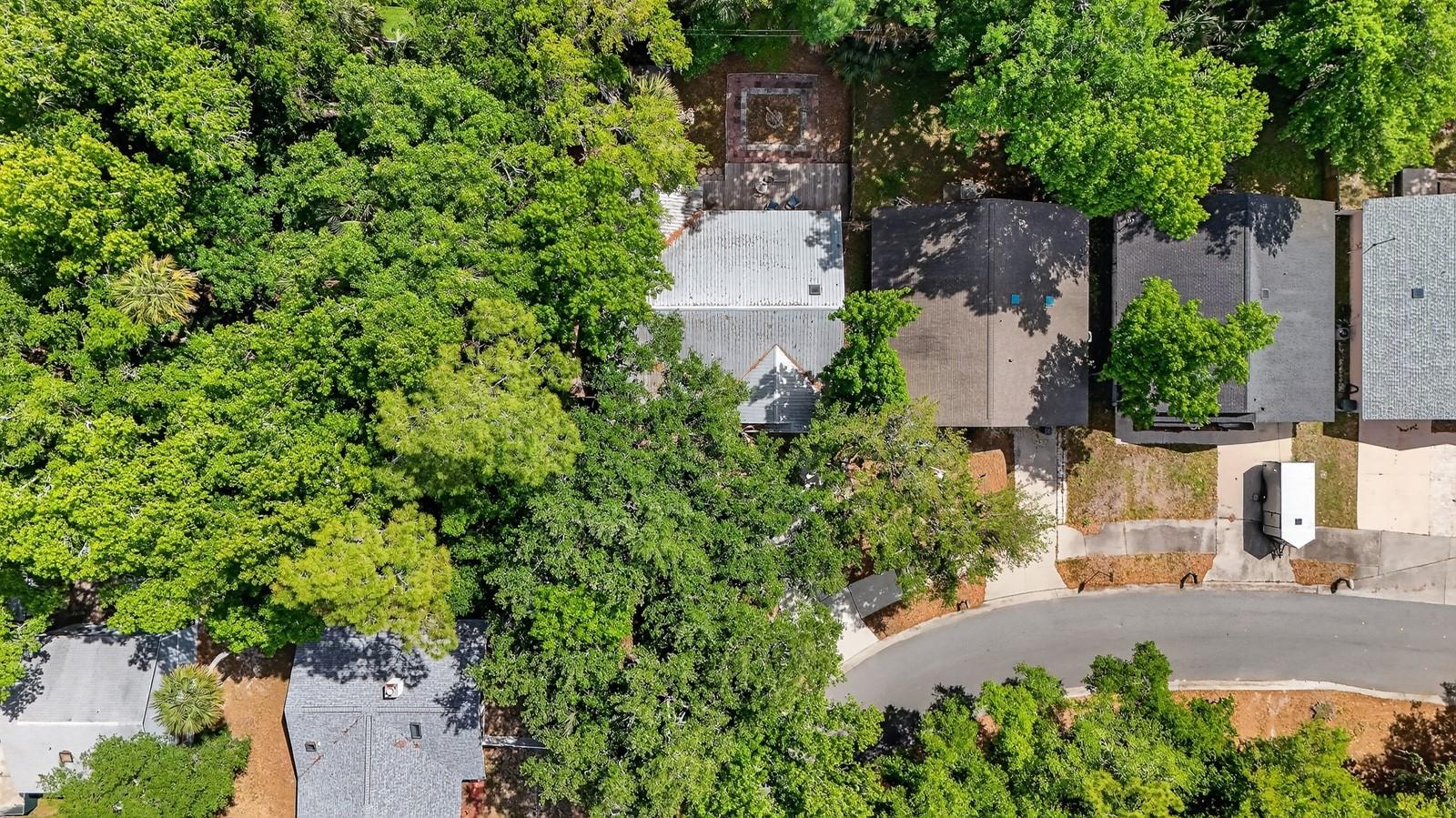 BENNETTS HAMMOCK REP TR 01 - Residential