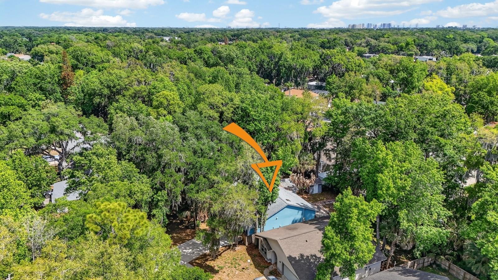 BENNETTS HAMMOCK REP TR 01 - Residential