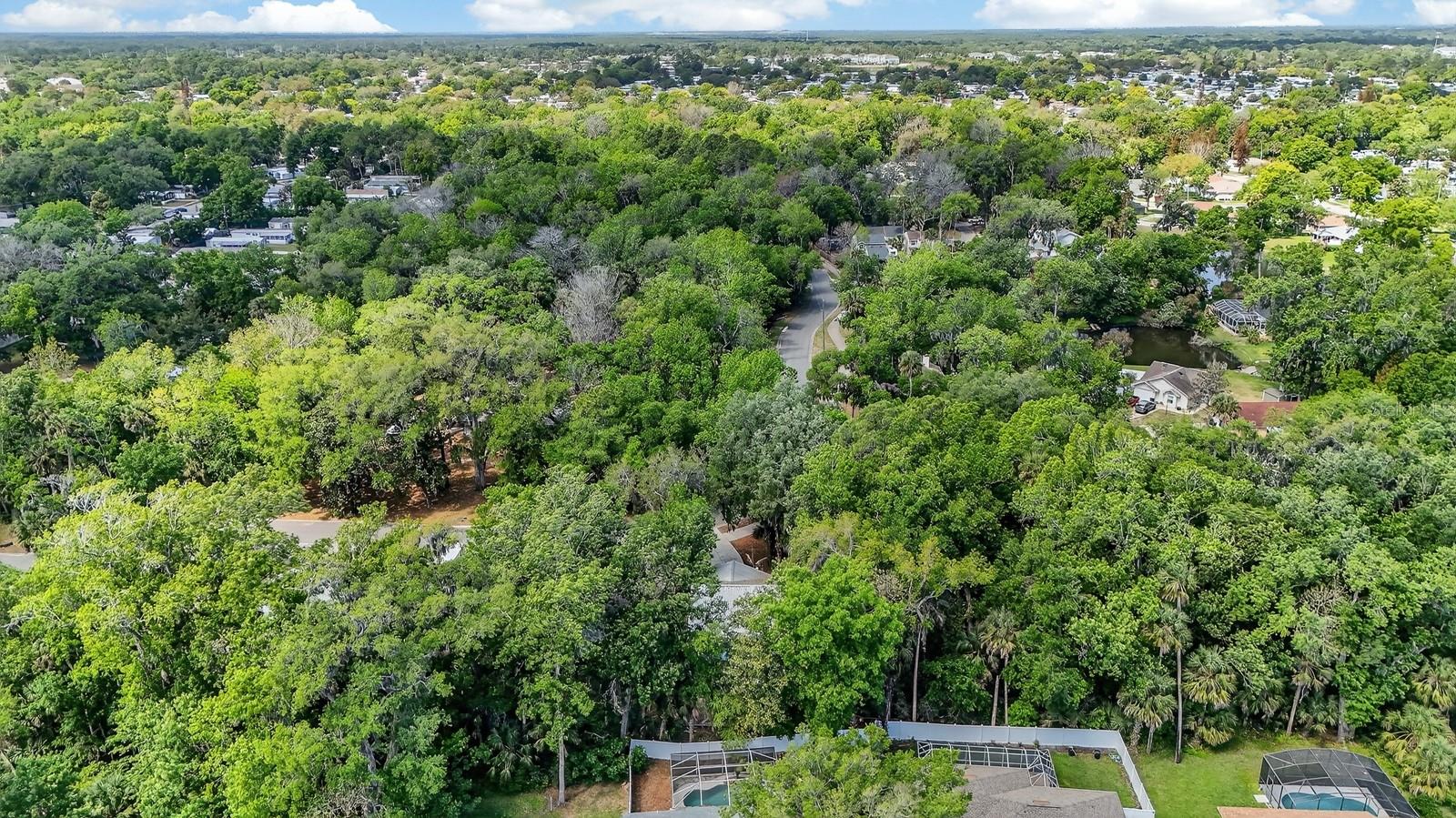 BENNETTS HAMMOCK REP TR 01 - Residential