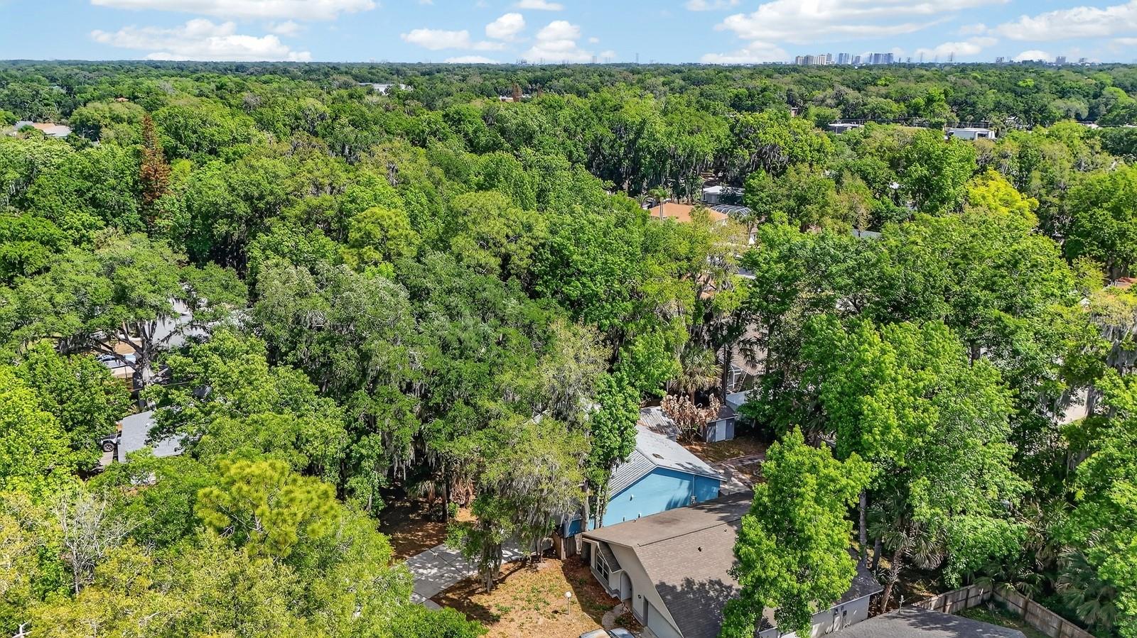 BENNETTS HAMMOCK REP TR 01 - Residential