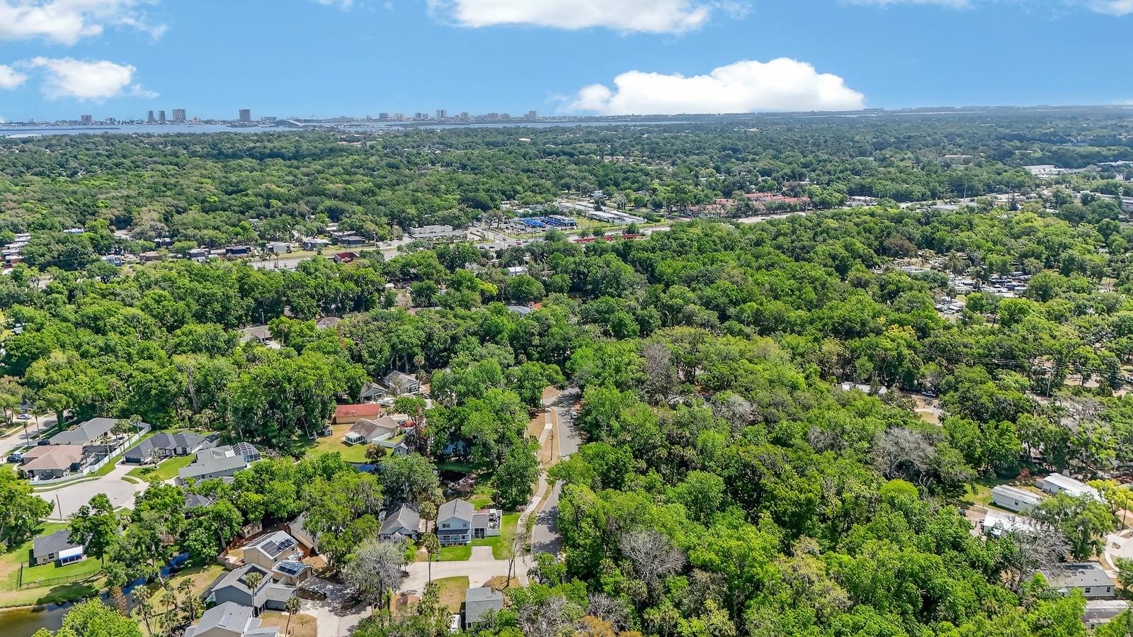 BENNETTS HAMMOCK REP TR 01 - Residential