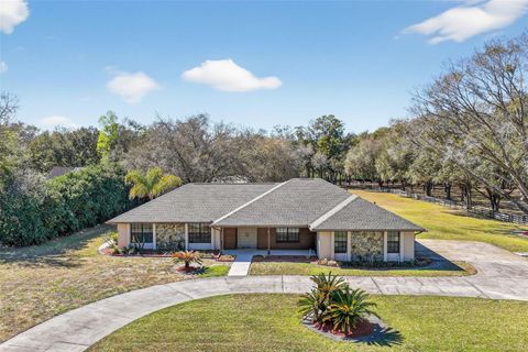 Photo of 32239 Wolf Branch Lane, Sorrento, FL 32776 (MLS # G5108818)
