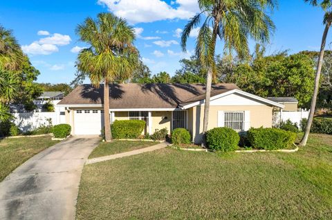 A home in TAMPA