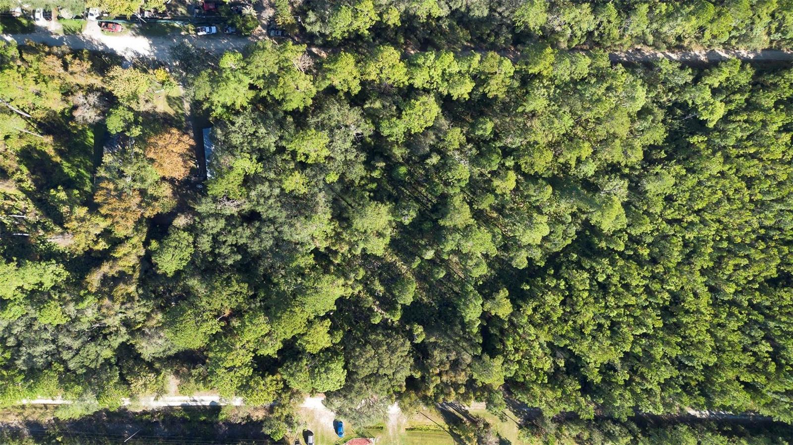 214 MOURNING DOVE ROAD