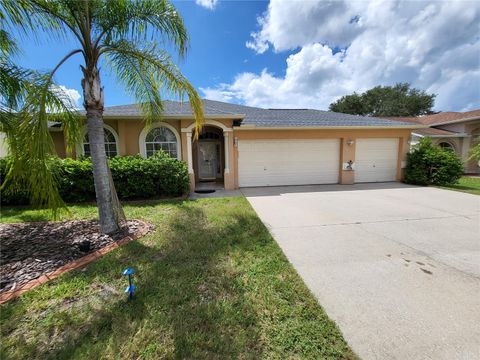 A home in RIVERVIEW