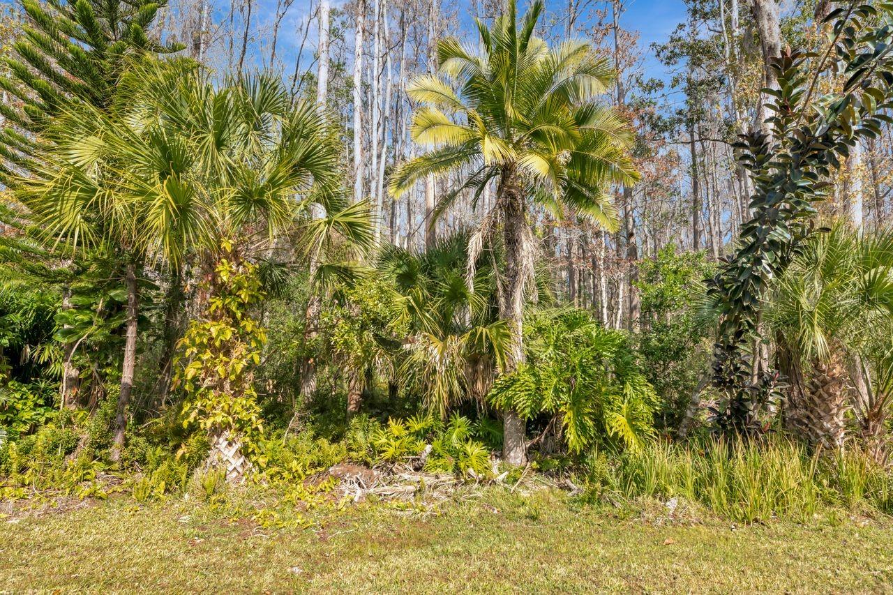 PINE RIDGE AT LAKE TARPON VILLAGE - Residential