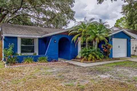 A home in TAMPA