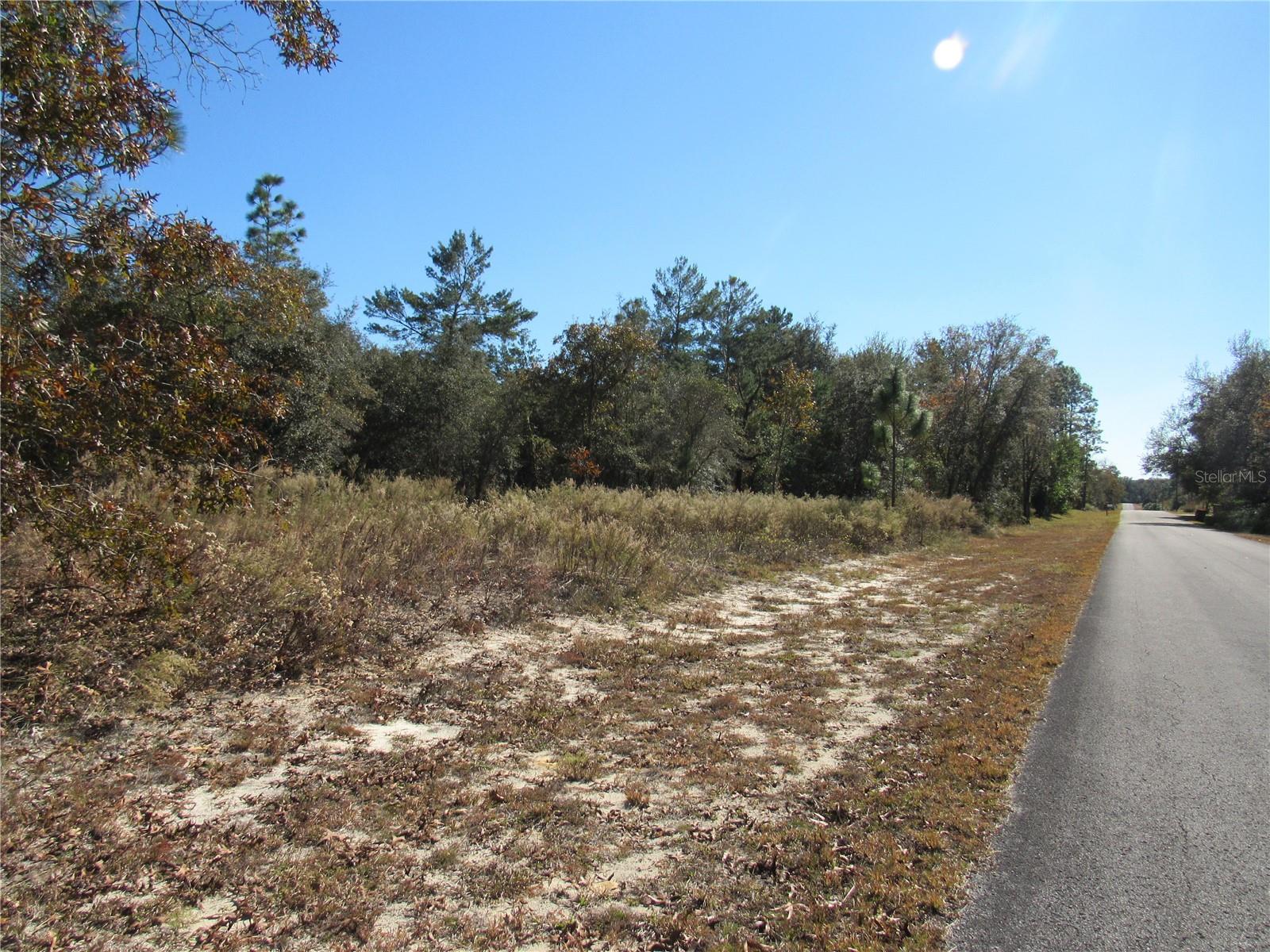 Beautiful One-Acre (.99) New Construction Build Site Available In Lovely Rainbow Lakes Estates Community. Perfect Opportunity For You To Build Your Florida Dream Home Now Or Purchase and Hold. Rainbow Lakes Estates Is an Outdoorsman Paradise and Located On the Nature Coast of Florida Conveniently Located Within 20-40 Minutes Circle To Crystal River & The Gulf of Mexico, Inverness, Ocala & Gainesville For Extended Shopping, Dining & The Best of Entertainment! Rainbow Lakes Estates Where This Property Is Located Is an Established Popular Community With New and Existing Homes and Vacant Land Sites For New Construction and Is Just Minutes To Historic Dunnellon, Our Local Town Square Built Around The Famous Rainbow and Withlacoochee Rivers Plus; In Just Minutes, Cast a Line on Lake Rousseau, Popular Fishing Capitol For The Large-Mouth Bass! This Property is just a few minutes Drive To The Award Winning Rainbow Springs State Park Where the Famous Rainbow River Begins, Providing Swimming, Snorkeling, Kayaking, Nature Trails, Canoeing + More..Also Centrally Located To Halpata Tastanaki Nature Preserve and The Goethe State Forest Plus Just 25 Minutes To The New World Equestrian Center Located In Ocala, FL. Hike the Many Fabulous Trail-Heads Of The Magnificent Florida Greenway that Runs Right Through Dunnellon!! Private Boat Ramp Available For Rainbow Lakes Estates Residents on Tiger Lake + Paved Roads, R-1 Site Built Homes, No HOA Fee. Call Now and Secure This Beautiful One-Acre (.99) New Build Site For Your Florida Dream Home In This Amazing Slice Of Paradise In The Sunny Part of What We Call "Old Florida"!!