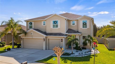 736 LAKE DOUGLAS DRIVE GROVELAND FL 34736