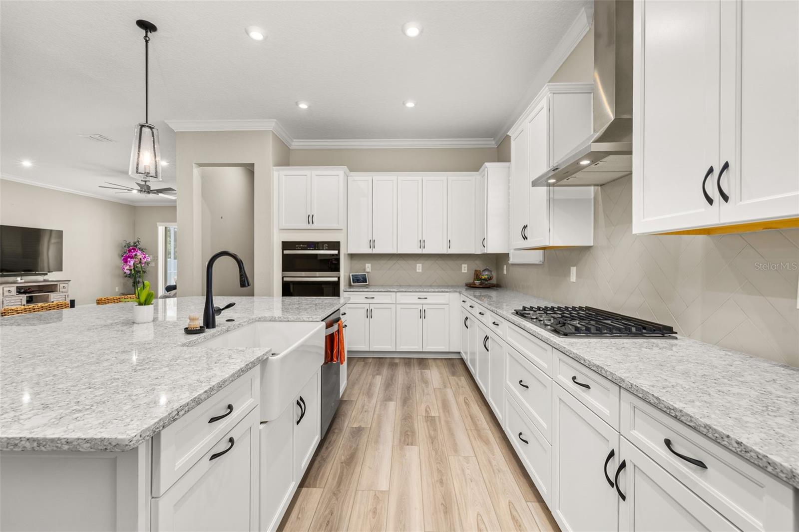 CELEBRATION ISLAND VILLAGE PH 1B - Residential