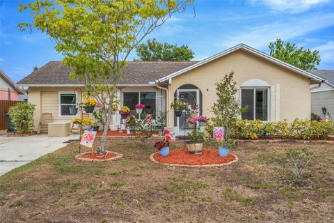 Photo of 3538 Monte Rio Street, New Port Richey, FL 34655 (MLS # TB8499809)