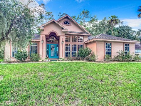 A home in DELTONA