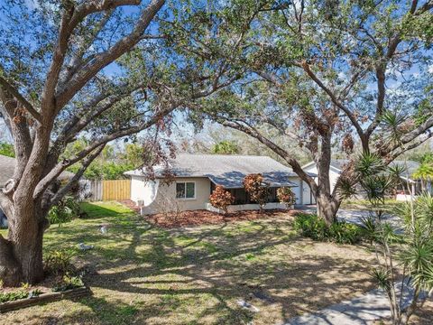 A home in PINELLAS PARK