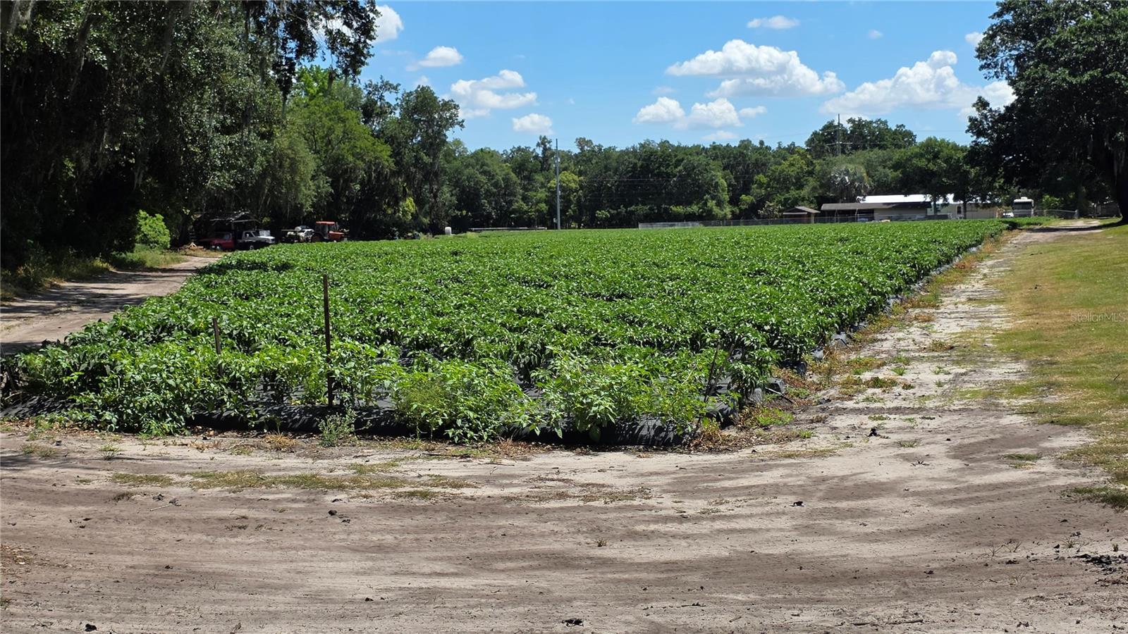 UNPLATTED - Land