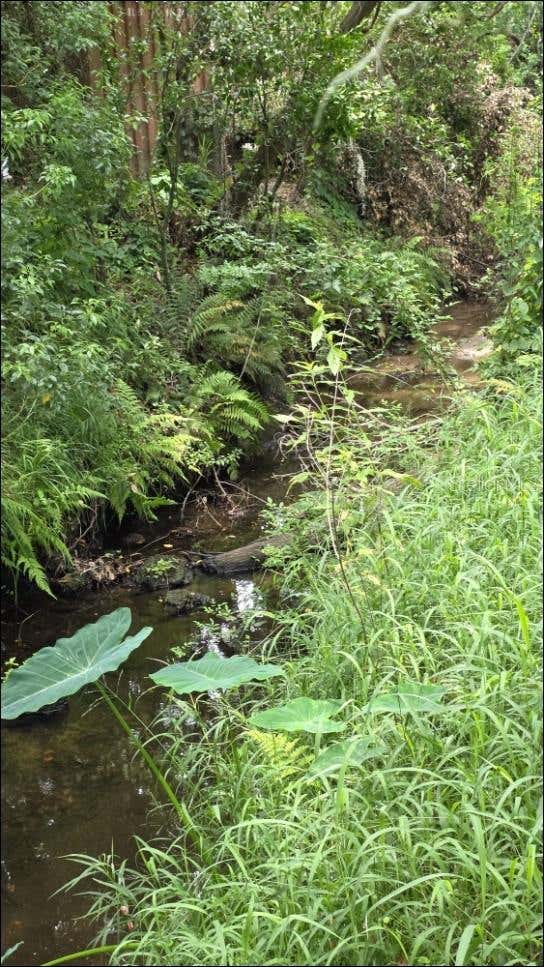 Photo of Gallagher Road, Dover, FL 33527 (MLS # TB8502492)