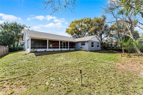 A home in DELTONA