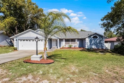 A home in DELTONA