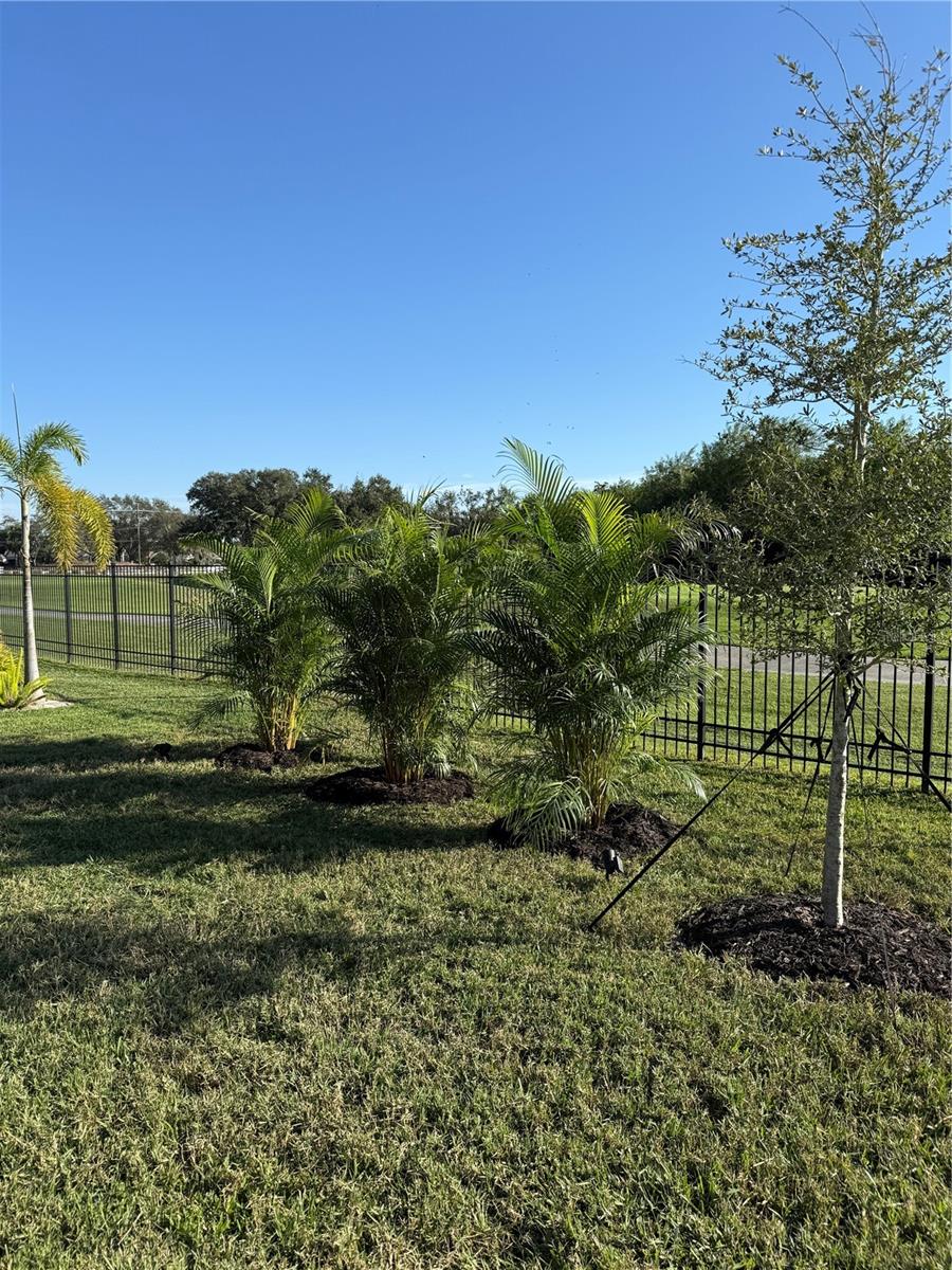 WATERCOLOR PLACE I - Residential