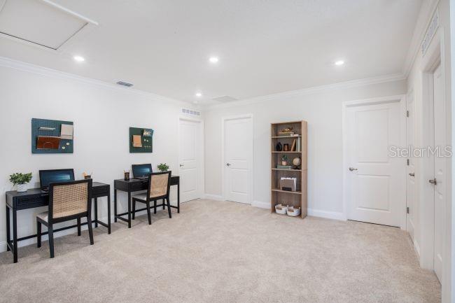MOUNT PLMOUTH GREEN - Residential