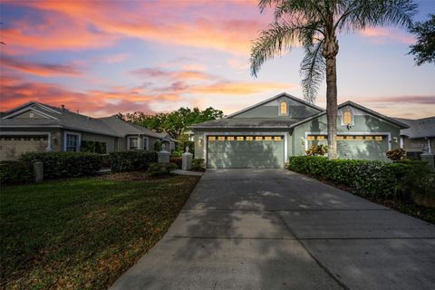 Photo of 5721 Heronpark Place, Lithia, FL 33547 (MLS # TB8492930)