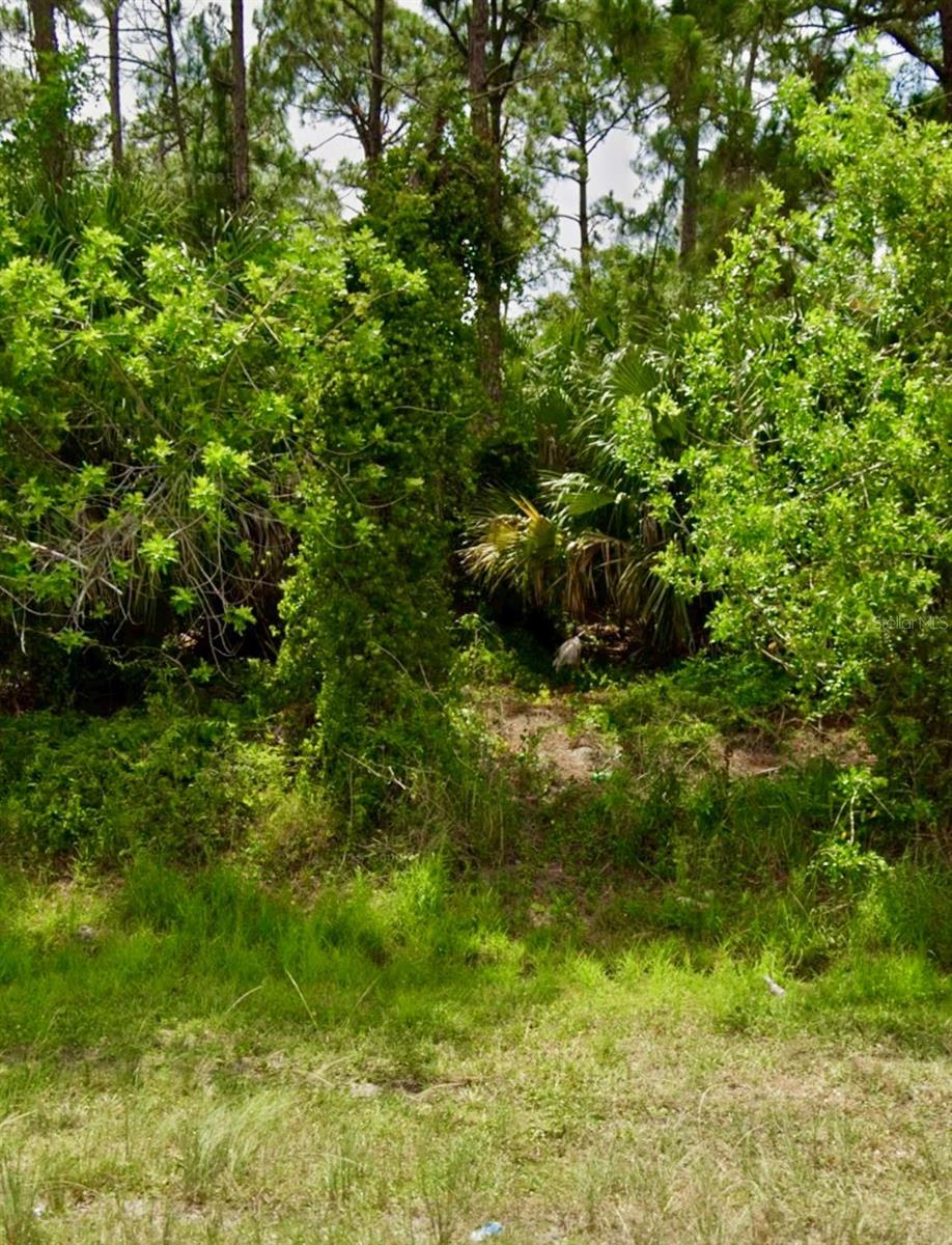 2956 SW MOODY TERRACE