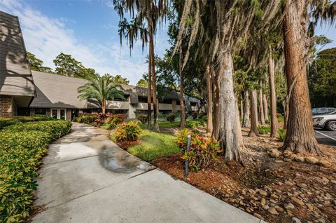 A home in PALM HARBOR