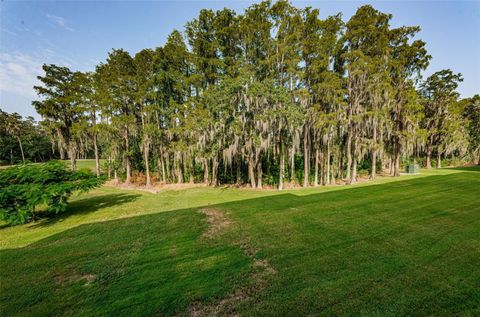 A home in PALM HARBOR