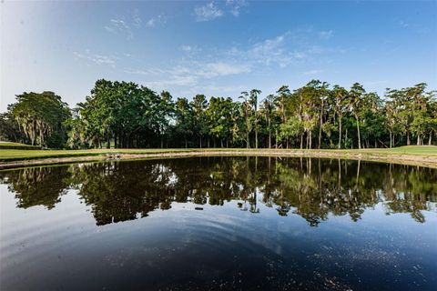 A home in PALM HARBOR