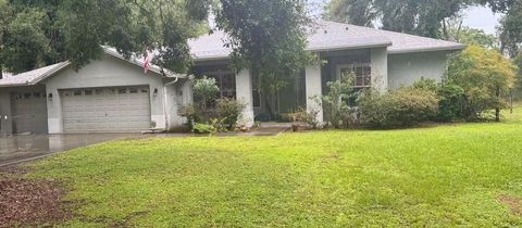 Photo of 12216 Anne Kenia Drive, Thonotosassa, FL 33592 (MLS # TB8413345)