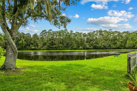 A home in ORLANDO