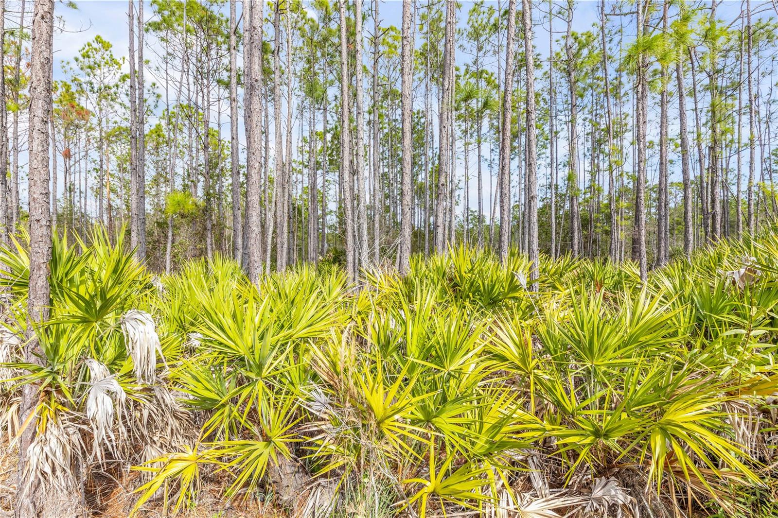 ST AUGUSTINE LAKES PH 3A - Residential