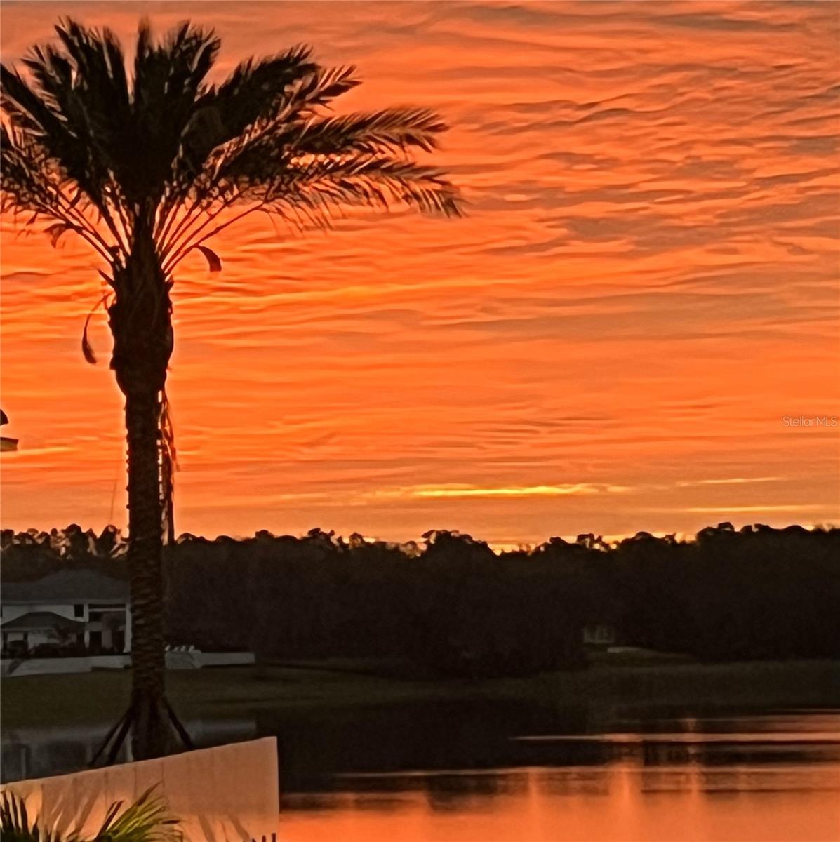 BELLA COLLINA EAST SUB - Land